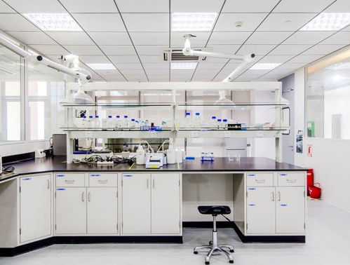 引領(lǐng)綠色未來(lái) 以開(kāi)拓創(chuàng)新與專業(yè)服務(wù)，鑄就質(zhì)量至上的環(huán)保咨詢新標(biāo)桿